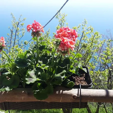 Ancient Medieval Chapel Villa