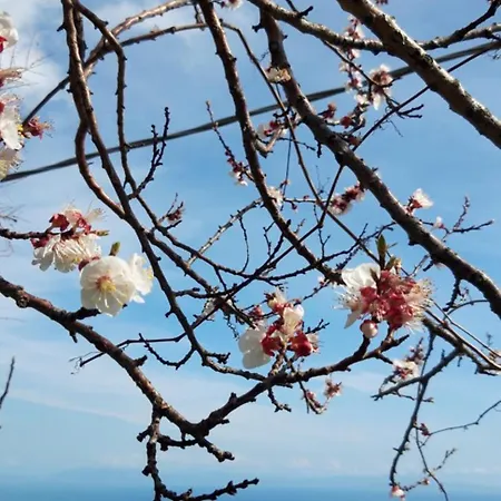 Ancient Medieval Chapel ヴィラ アマルフィ