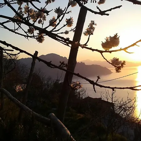 Ancient Medieval Chapel *