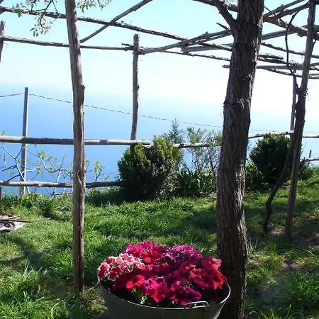 ヴィラ Ancient Medieval Chapel *