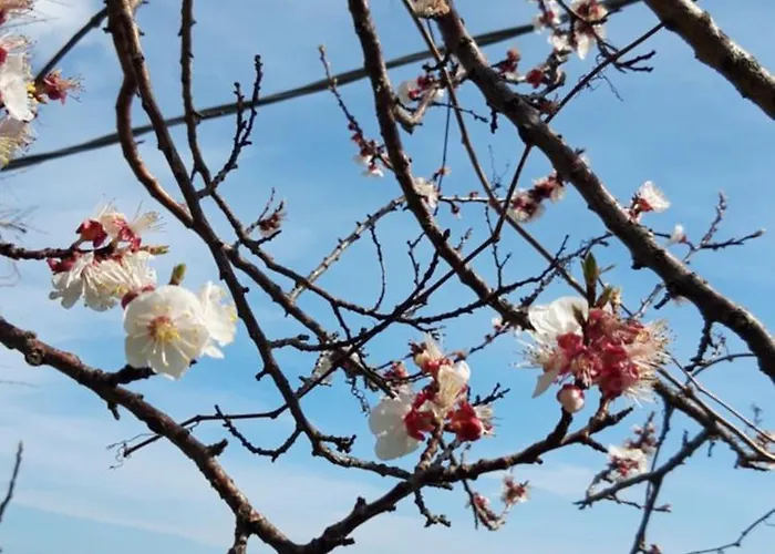 Ancient Medieval Chapel فيلة أمالفي