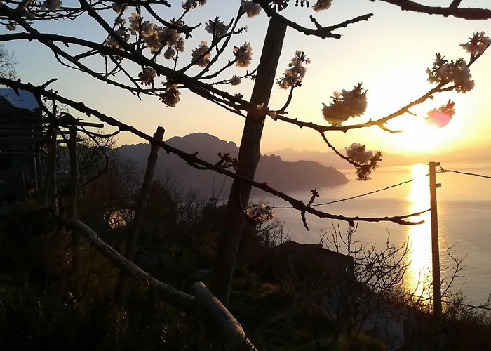 Ancient Medieval Chapel *