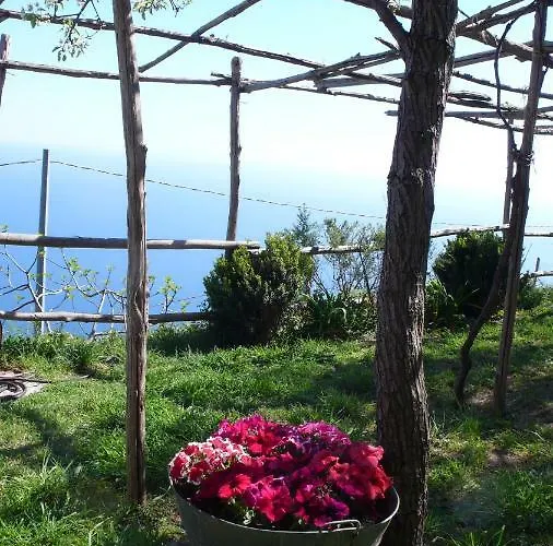 فيلة Ancient Medieval Chapel *