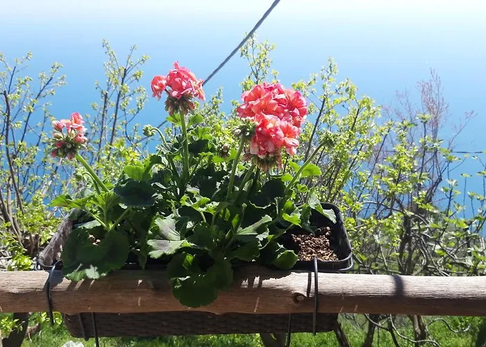 Ancient Medieval Chapel Villa